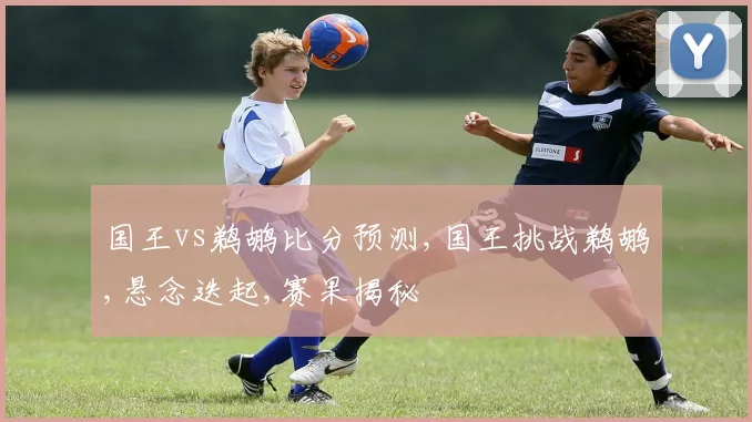 国王vs鹈鹕比分预测,国王挑战鹈鹕,悬念迭起,赛果揭秘